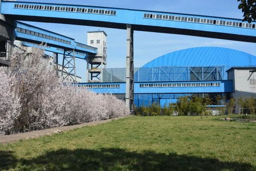 春光似海，产业如画 探访天瑞煤焦化的绿色转型