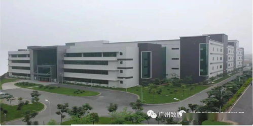 黄埔企业瑞饶信息亮相新闻联播，彰显科技创新硬实力