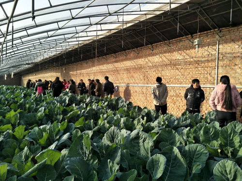 助推北京农业信息化发展，奥科美获北京市农产品产销信息协会表彰